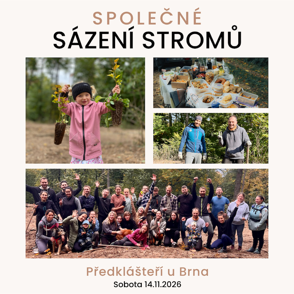 Spolecna sazeci akce