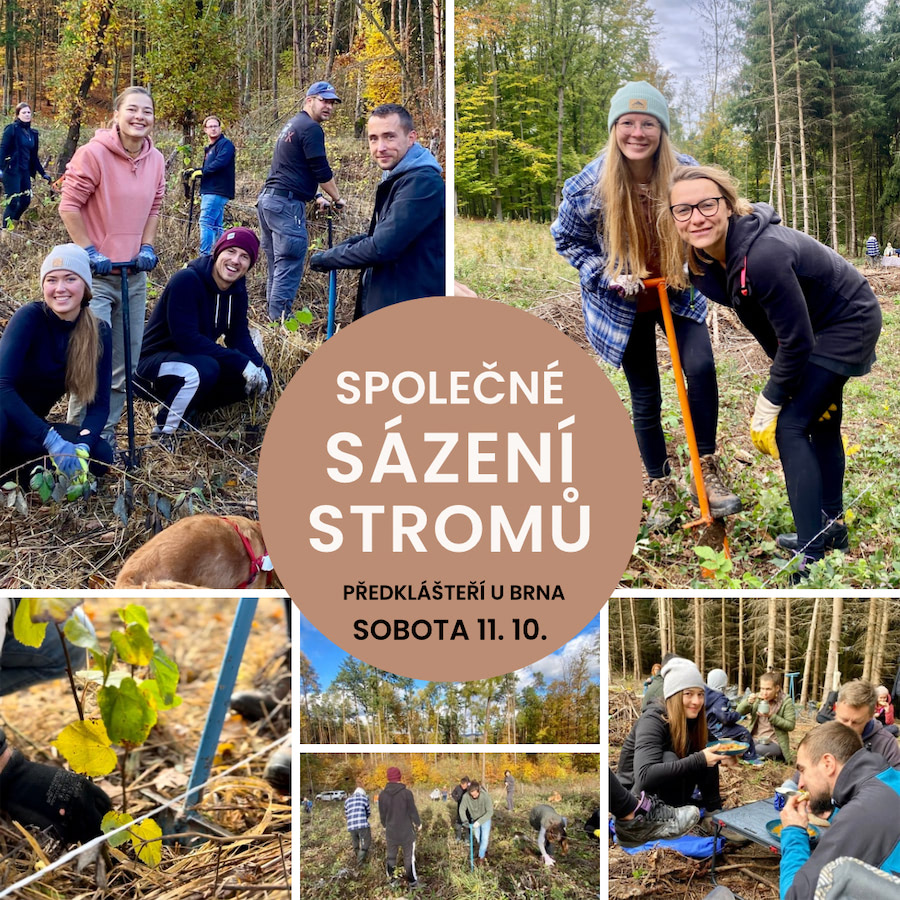 Vedomy Silvestr - SPOLU