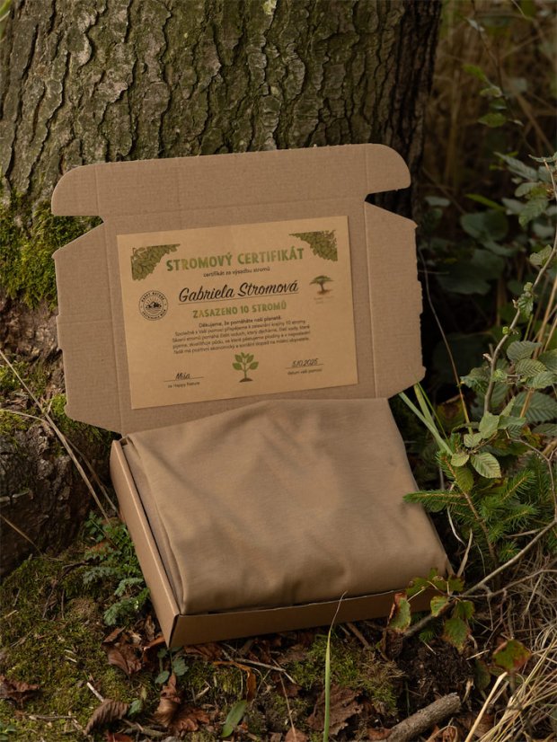 Dámské tričko s dlouhým Bez potisku - hnědé