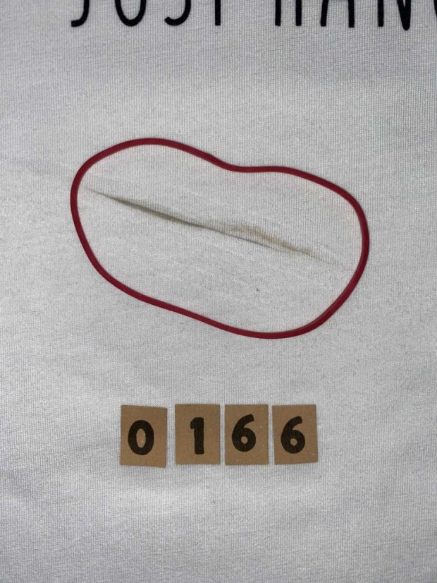 Zachraňte pánský raglan Just hanging