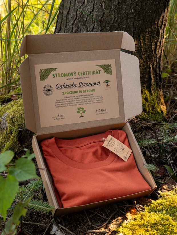 Pánské tričko Mountains - cihlové