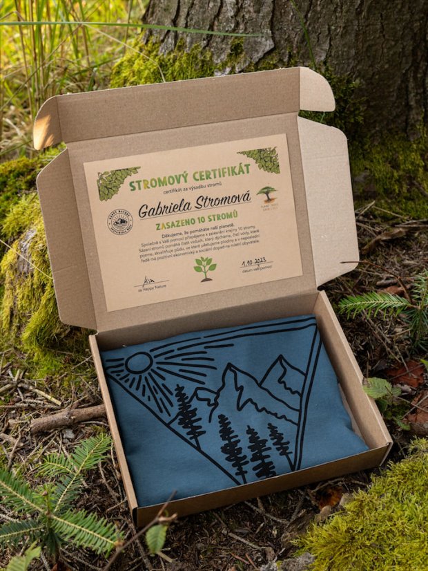 Pánské tričko Východ - modrozelené