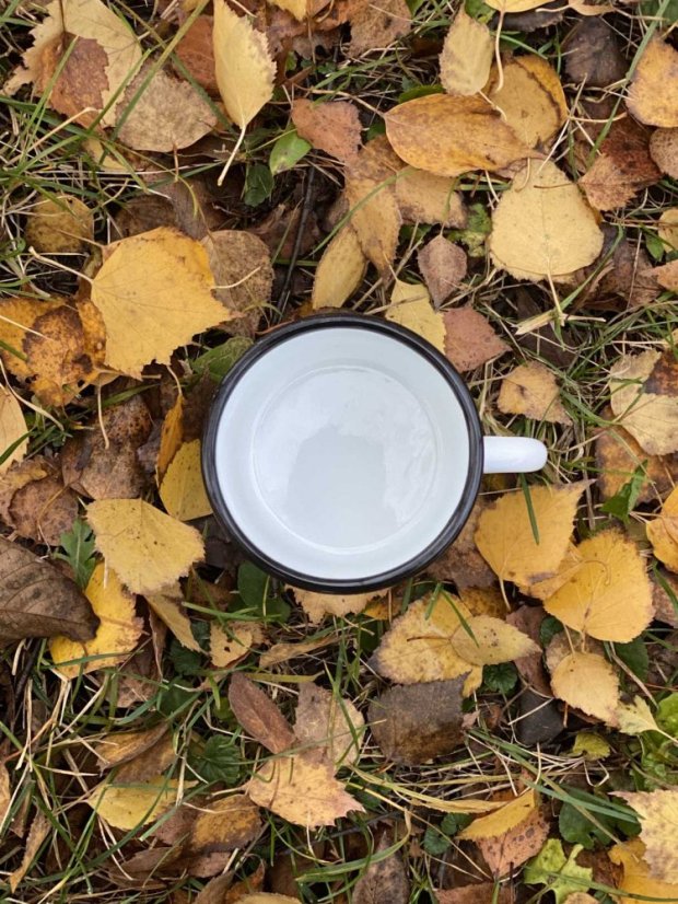 Plecháček Outsider