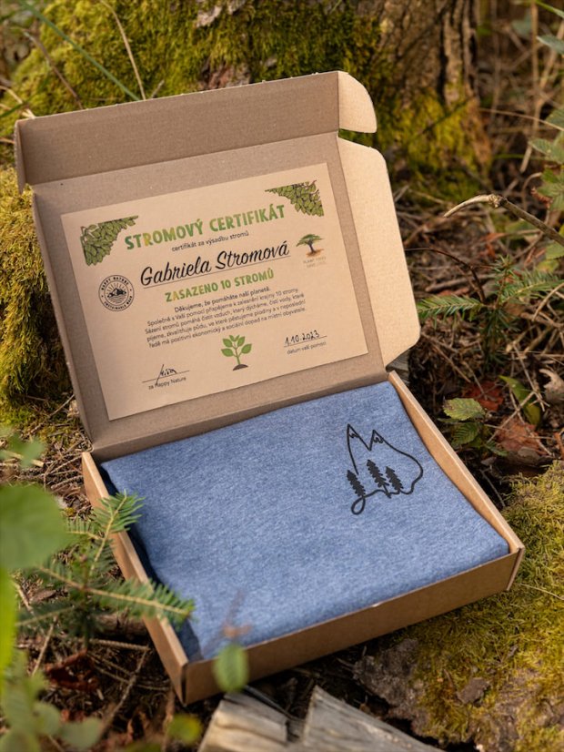 Pánské tričko Vrcholky - modrošedé