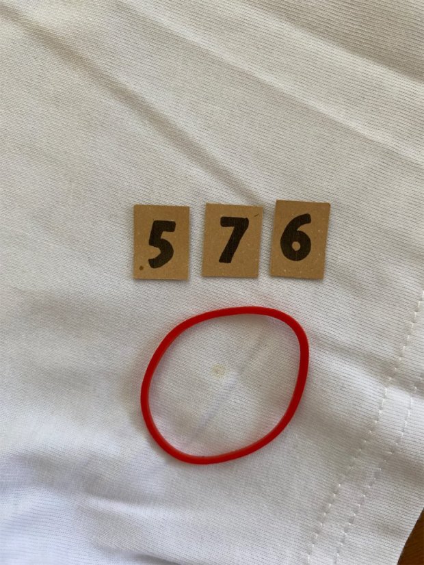 Zachraňte pánské tričko Pohoří - bílé