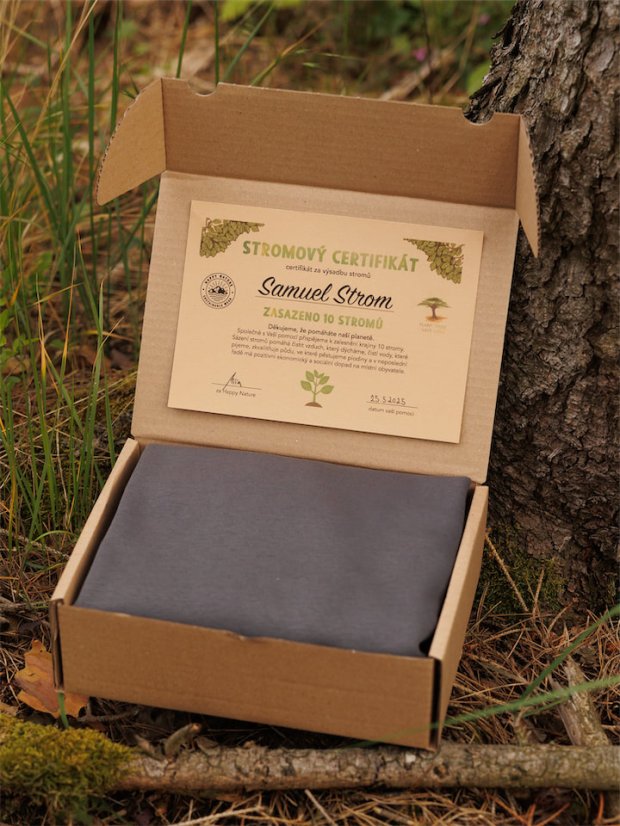 Pánská mikina bez kapuce Bez potisku - lávově šedá