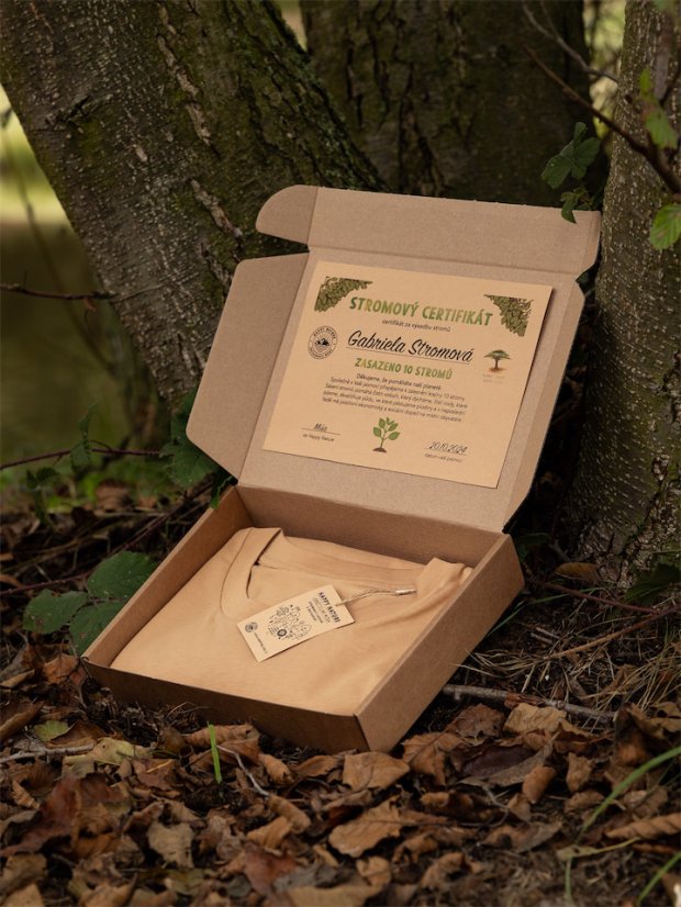 Dámské tričko V horách - béžově hnědé